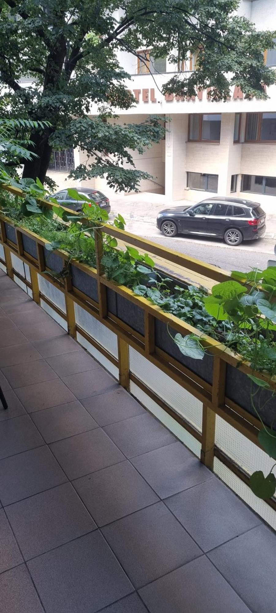 Family Apartman V Centre Mesta Bratislava Leilighet Eksteriør bilde